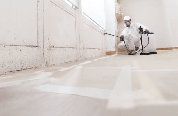 24/7 Emergency Crawl Space Mold Remediation experts in Dundas, VA