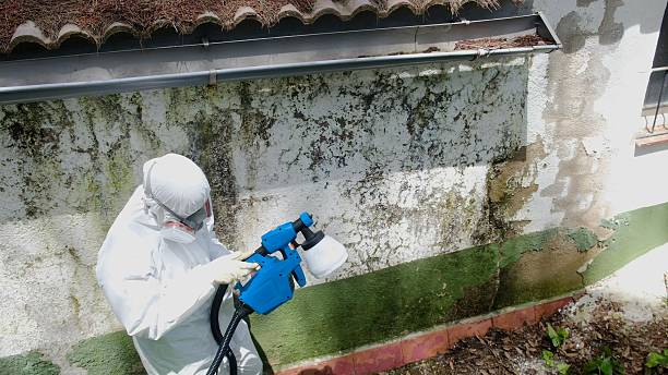 Top rated local Crawl Space Mold Remediation specialists in Dundas, VA